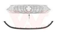 Trim/Protective Strip, radiator grille