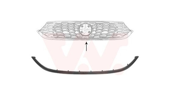 Trim/Protective Strip, radiator grille