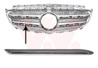 Trim/Protective Strip, radiator grille