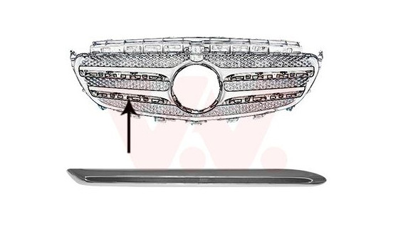 Trim/Protective Strip, radiator grille