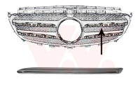 Trim/Protective Strip, radiator grille