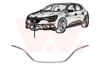 Trim/Protective Strip, radiator grille