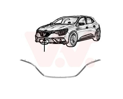 Trim/Protective Strip, radiator grille