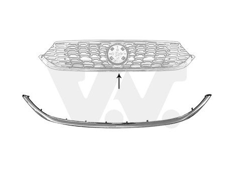 Trim/Protective Strip, radiator grille