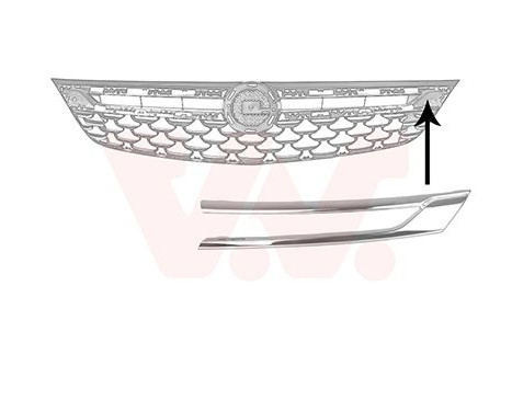 Trim/Protective Strip, radiator grille