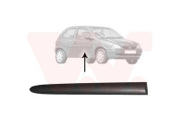 Trim/Protective Strip, sidewall