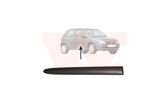 Trim/Protective Strip, sidewall