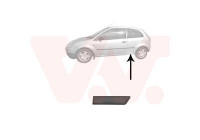 Trim/Protective Strip, sidewall