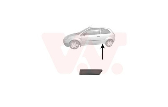 Trim/Protective Strip, sidewall