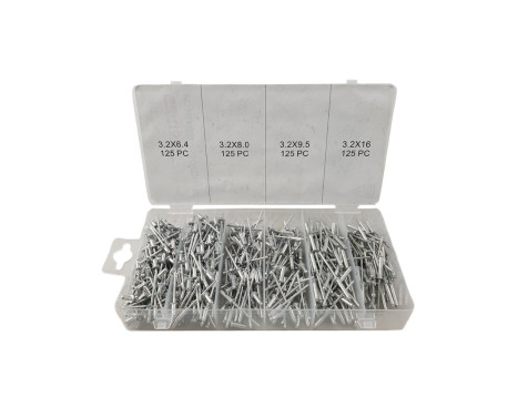 Assortment Blind Rivet 500 pcs