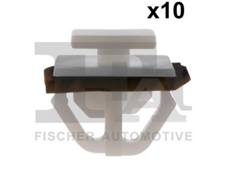 Clip, decorative/protective strip