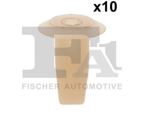 Clip, decorative/protective strip