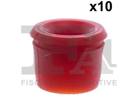 Clip, decorative/protective strip