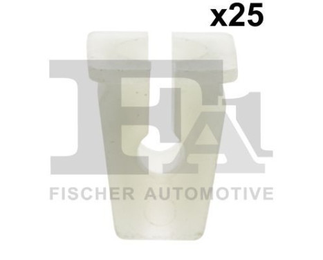 Clip, decorative/protective strip