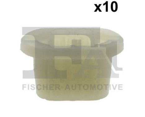 Clip, decorative/protective strip