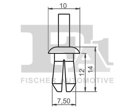 Clip, decorative/protective strip