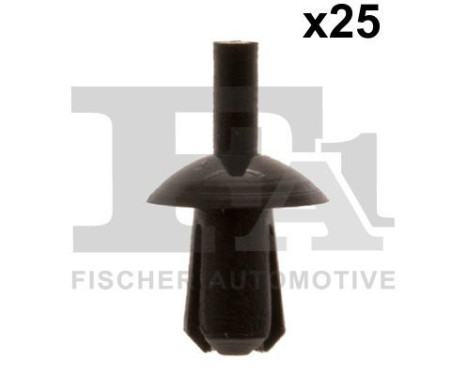 Clip, decorative/protective strip