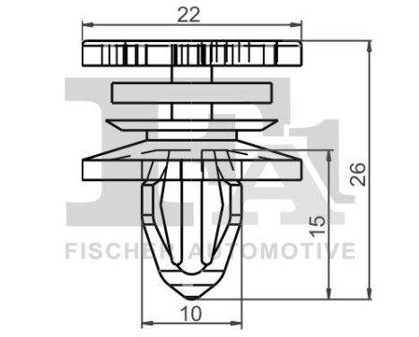 Clip, decorative/protective strip