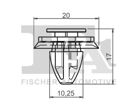 Clip, decorative/protective strip