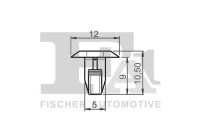 Clip, decorative/protective strip