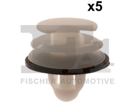 Clip, decorative/protective strip