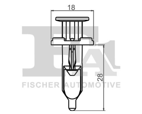 Clip, decorative/protective strip