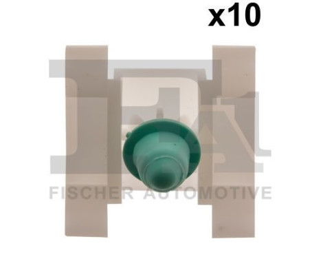 Clip, decorative/protective strip