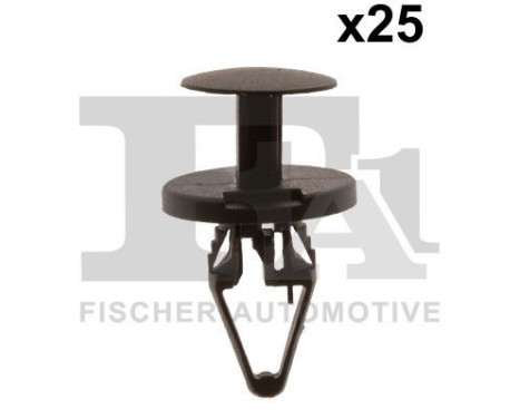 Clip, decorative/protective strip