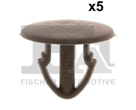 Clip, decorative/protective strip