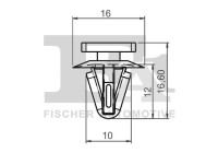Clip, decorative/protective strip