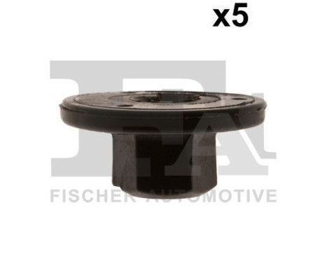 Clip, decorative/protective strip