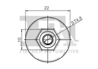 Clip, decorative/protective strip