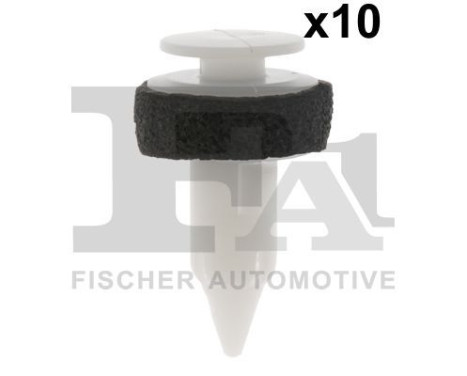 Clip, decorative/protective strip