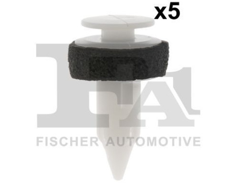 Clip, decorative/protective strip