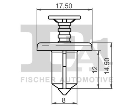 Clip, decorative/protective strip