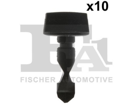 Clip, decorative/protective strip