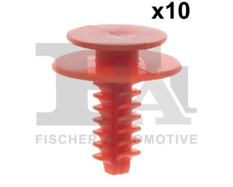 Clip, decorative/protective strip