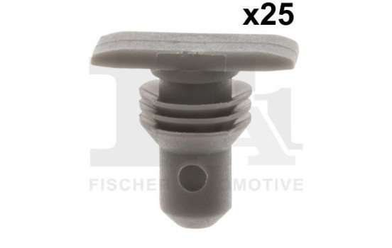 Clip, decorative/protective strip