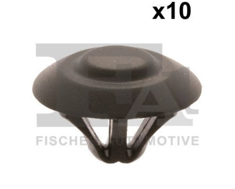 Clip, decorative/protective strip