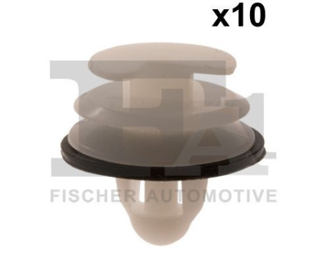 Clip, decorative/protective strip