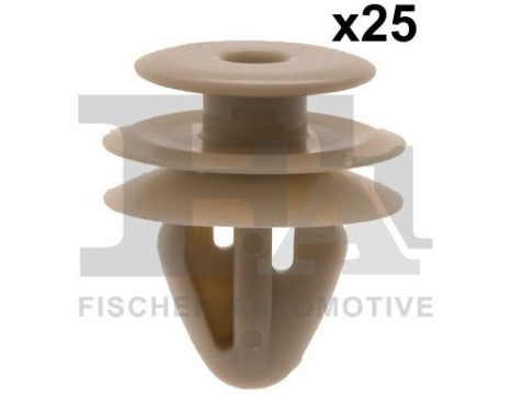 Clip, decorative/protective strip