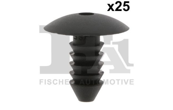 Clip, decorative/protective strip