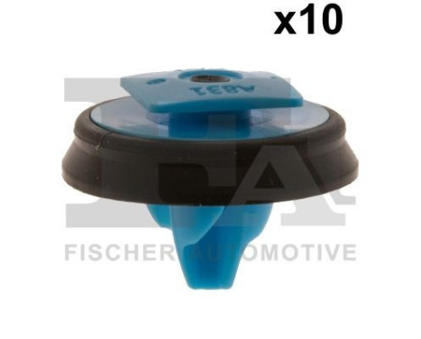 Clip, decorative/protective strip