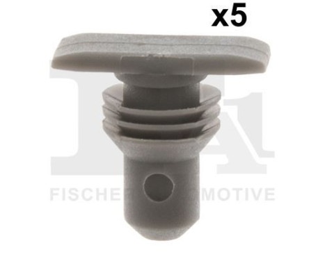 Clip, decorative/protective strip