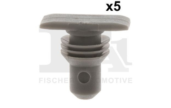 Clip, decorative/protective strip