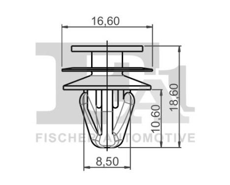 Clip, decorative/protective strip