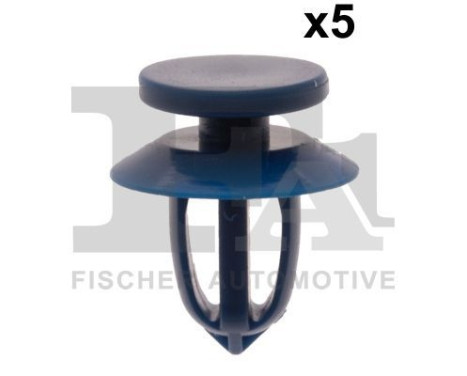 Clip, decorative/protective strip