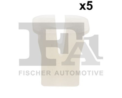 Clip, decorative/protective strip