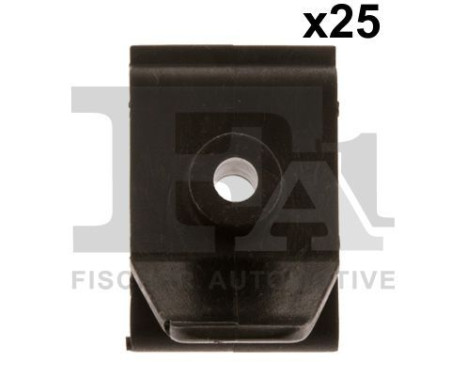 Clip, decorative/protective strip