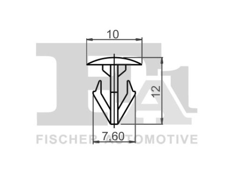 Clip, decorative/protective strip